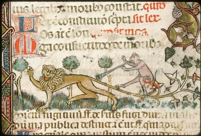 Illustration de l'événement : Présentation de documents patrimoniaux à la Bibliothèque Ceccano