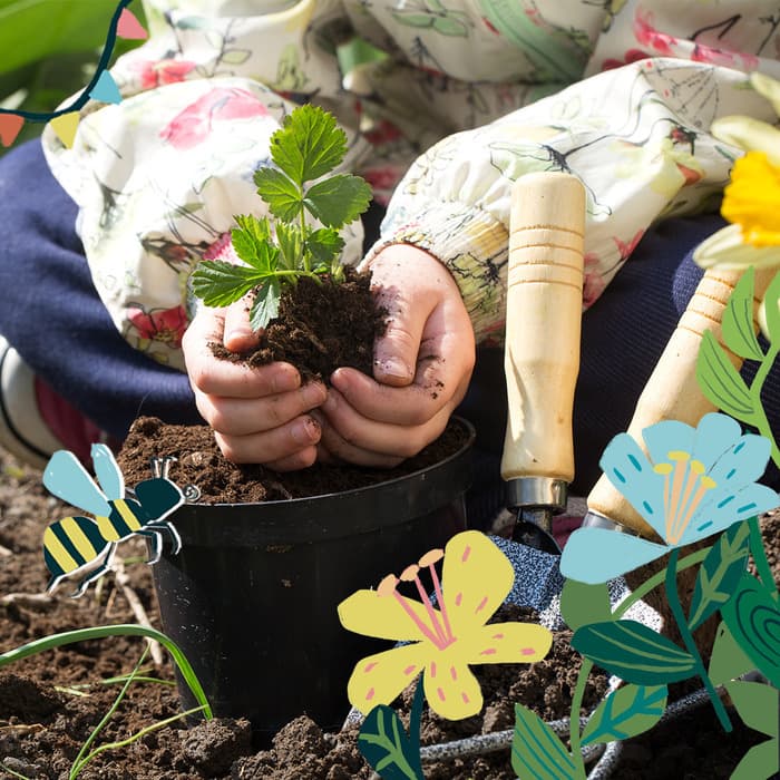 Illustration de l'événement : ATELIER PLANTATIONS AU BALCON, par Graines de troc