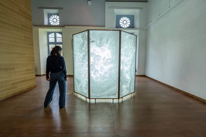 Illustration de l'événement : Déambulation musicale dans l'exposition "Le chant de l'eau"