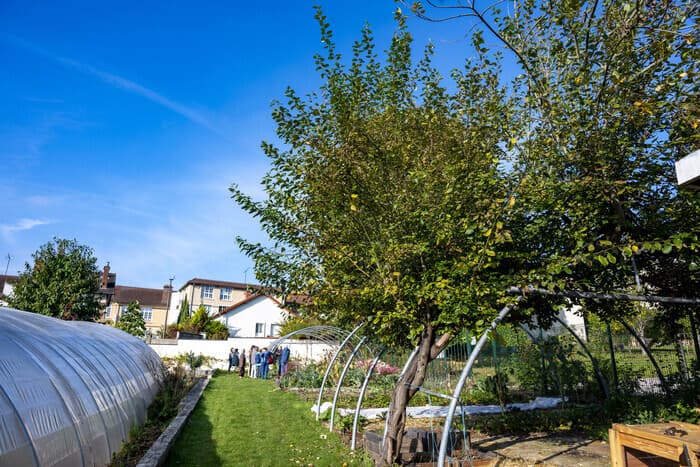 Illustration de l'événement : Atelier du jardin permacole de Thiais