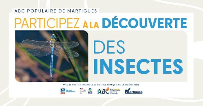 Illustration de l'événement : Atlas populaire de la Biodiversité Communale : " Découverte des insectes "