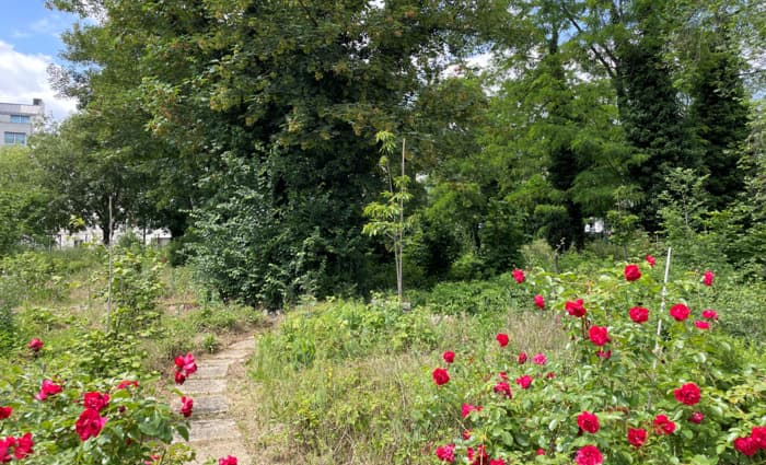 Illustration de l'événement : Découverte de l’agroforêt urbaine Sylvia