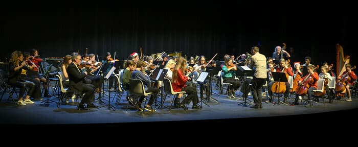 Illustration de l'événement : CONCERT DES ORCHESTRES
