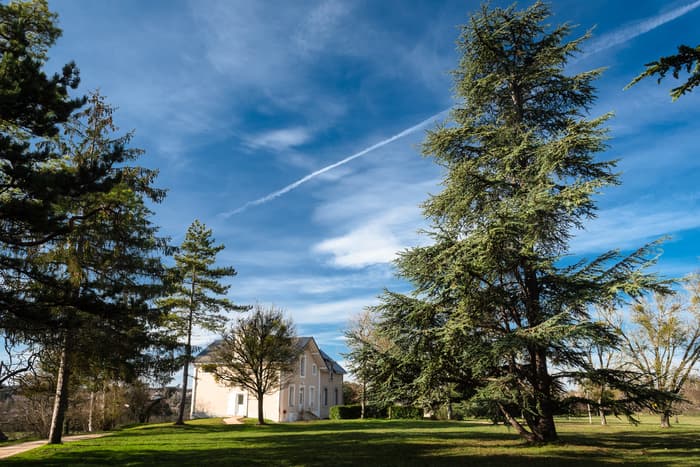 Illustration de l'événement : Rendez-vous aux Jardins à la Villa Bloch !