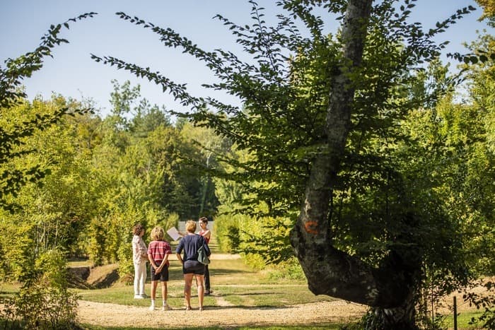 Illustration de l'événement : Rendez-vous aux jardins au château de La Brède : visite des jardins de Montesquieu