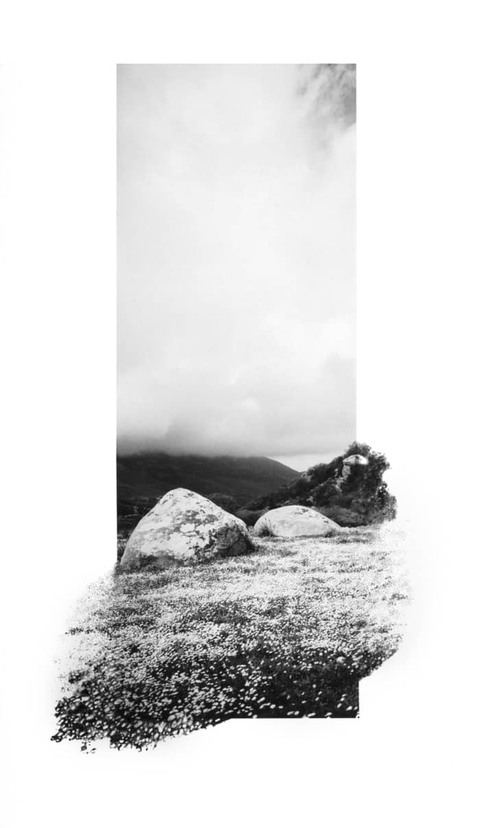 Illustration de l'événement : Exposition de Dana Cojbuc - GALERIE PUTMAN