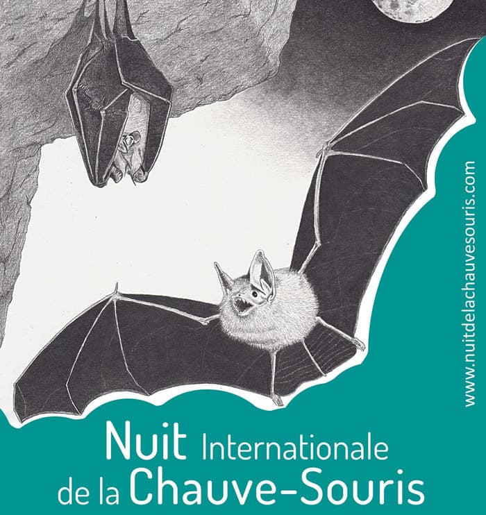 Illustration de l'événement : Nuit de la chauve-souris à Bréziers