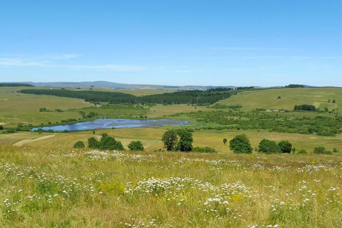 Illustration de l'événement : Découverte de la flore de la Réserve naturelle régionale du Jolan et de la Gazelle (15)
