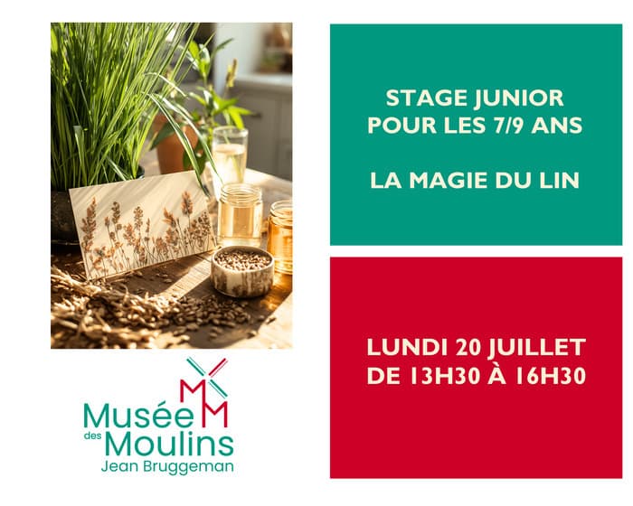 Illustration de l'événement : Stage Junior pour les 7/9 ans : La magie du lin