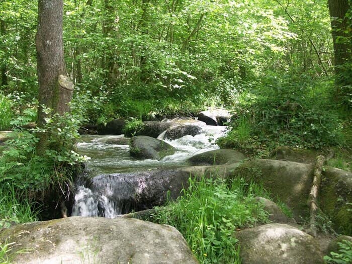 Illustration de l'événement : Contes au bruit des cascades