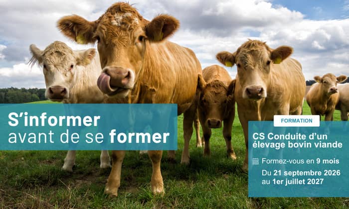 Illustration de l'événement : S'informer avant de se former - CS Conduite d'un élevage bovin viande