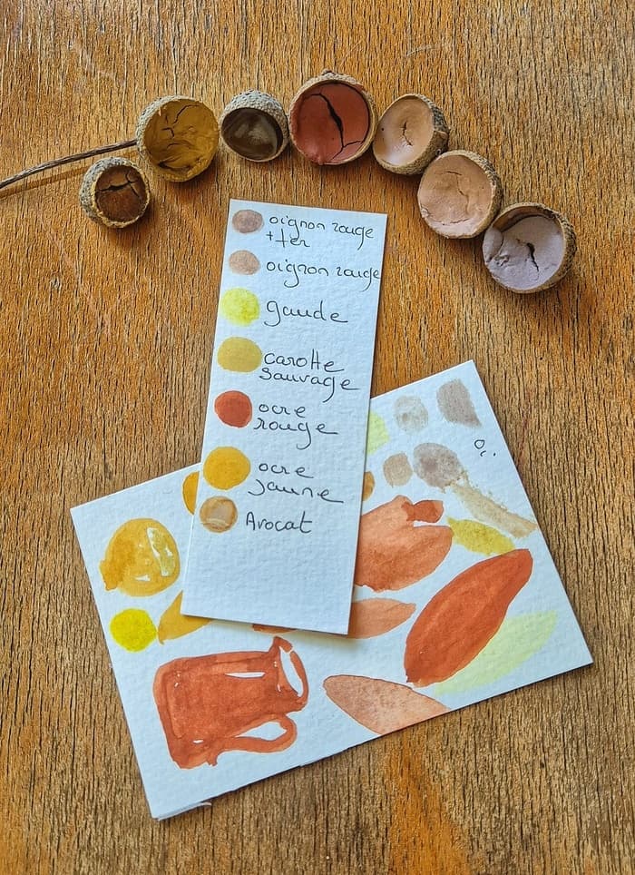 Illustration de l'événement : Réaliser ses aquarelles naturelles à partir de plantes