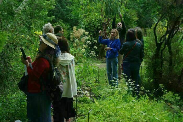 Illustration de l'événement : Visites guidées du jardin botanique de la faculté de santé d'Angers