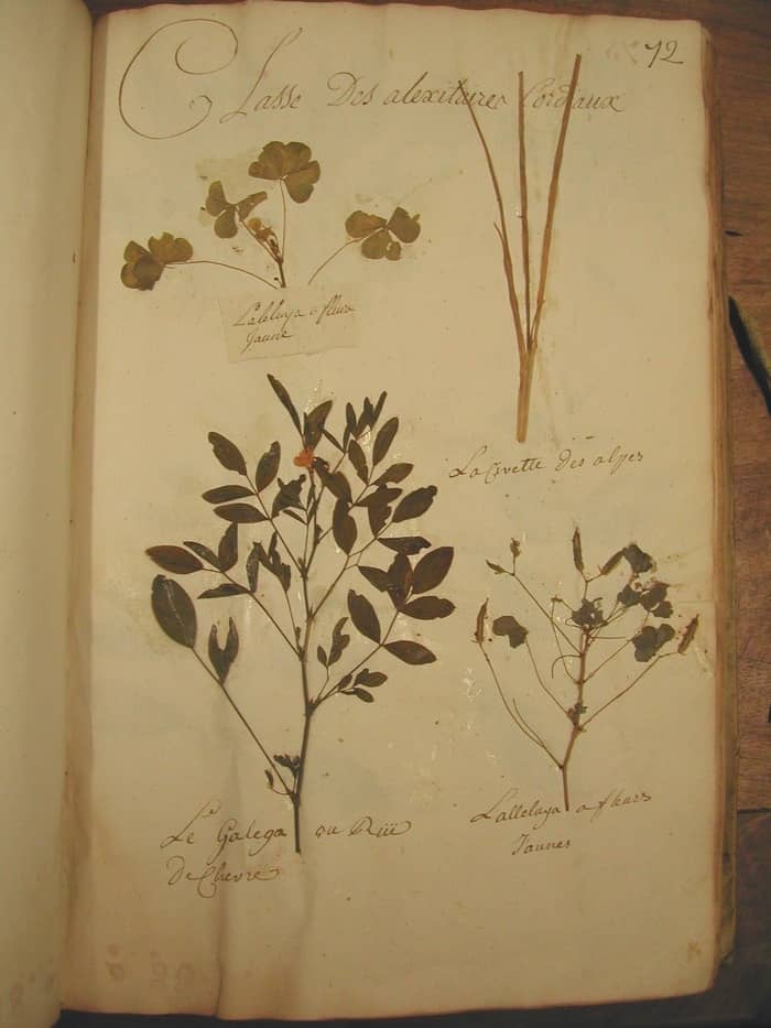 Illustration de l'événement : Visite guidée du fonds ancien