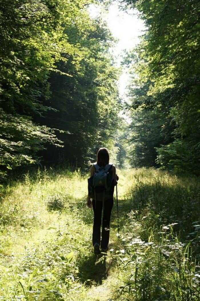 Illustration de l'événement : Histoire, légendes & forêt