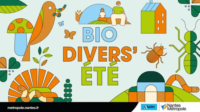 Illustration de l'événement : Biodivers’été : À l’origine des paysages, atelier archéo-botanique
