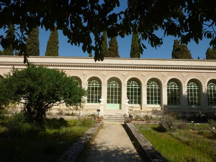 Illustration de l'événement : À la découverte du jardin des plantes de Montpellier