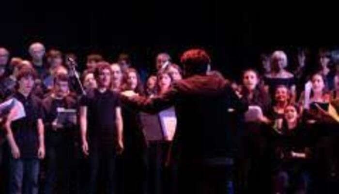 Illustration de l'événement : Ensemble Vocal de l'INSA : Concert de Fin d'Année