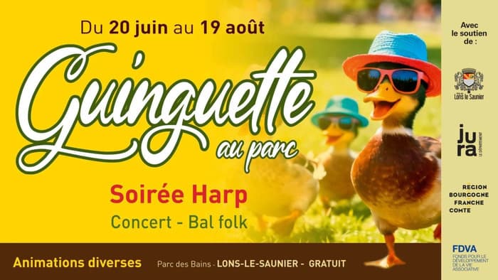 Illustration de l'événement : Concert Irlandais et Bal Folk