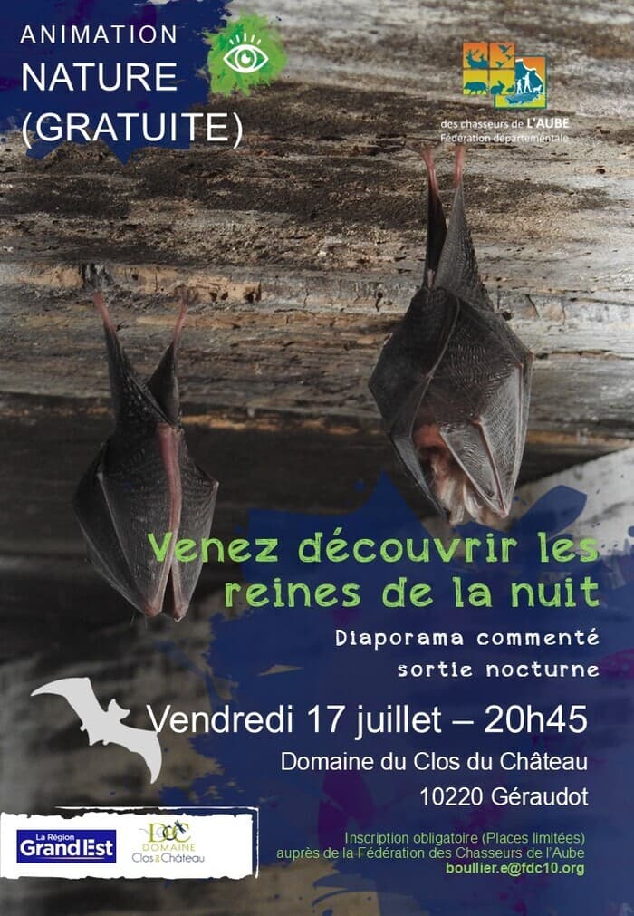 Illustration de l'événement : Venez découvrir les reines de la nuit