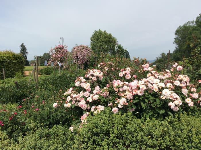 Illustration de l'événement : Jardin ouvert pour la découpe à l’autocollant.