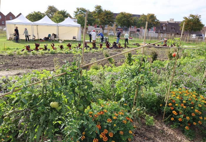 Illustration de l'événement : PERMANENCE A LA MICROFERME COMMUNALE POUR L'ENTRAIDE ALIMENTAIRE