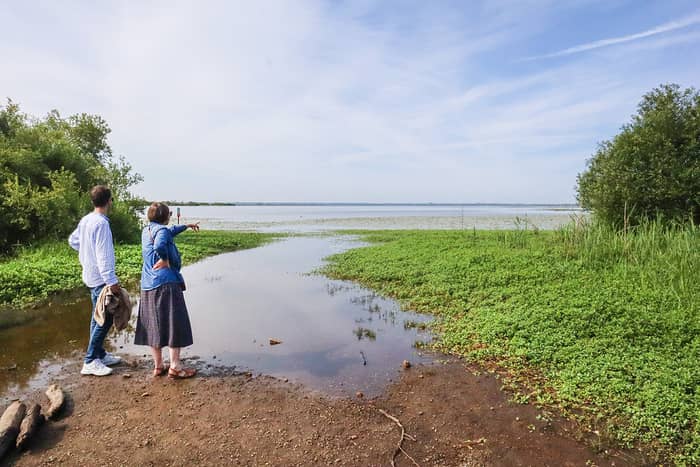 Illustration de l'événement : Visite commentée du site naturel de Pierre Aigue, au bord du lac de Grand Lieu