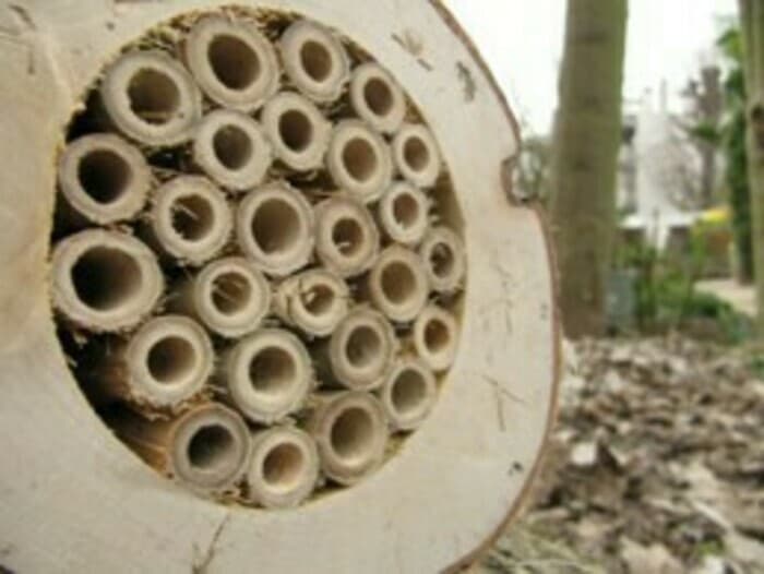 Illustration de l'événement : BOULOGNE-BILLANCOURT : Fabrication de gîtes à insectes -
