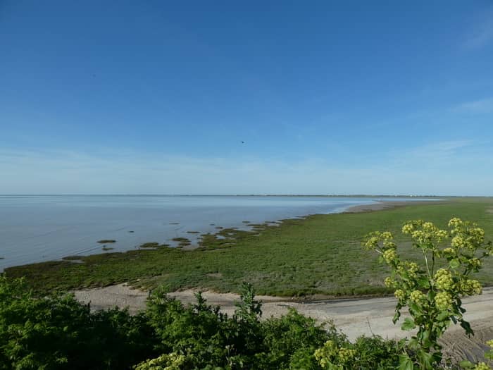 Illustration de l'événement : La baie de l'Aiguillon au fil des saisons