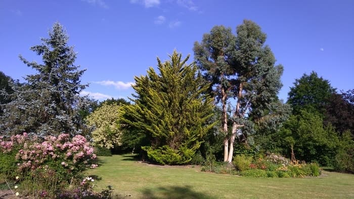 Illustration de l'événement : Découverte de l'arboretum Les Feuilles Fleuries de Saint-Eloi