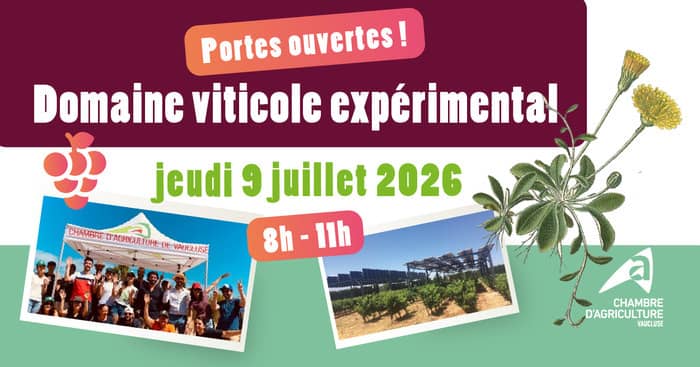 Illustration de l'événement : 84 - Portes ouvertes Domaine viticole expérimental