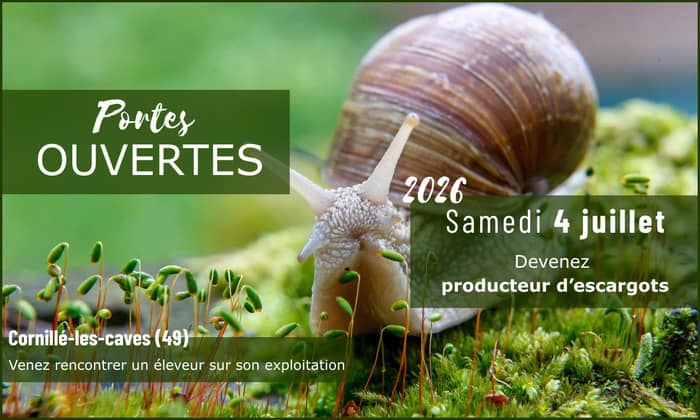 Illustration de l'événement : Portes ouvertes - Devenez producteur d'escargots (49)