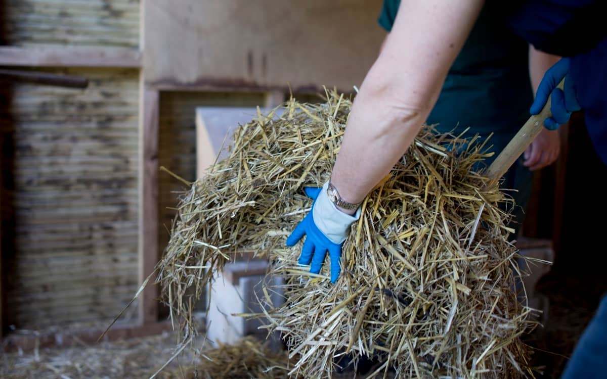 Illustration de l'événement : Soigneur d'un jour à la Ferme de Paris