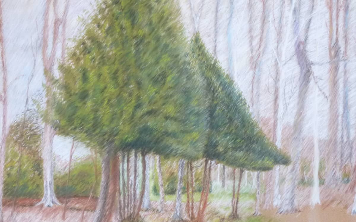 Illustration de l'événement : Stage de dessin