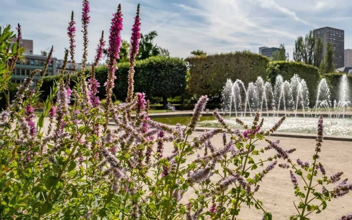 Illustration de l'événement : Visite du parc de Choisy au square de la Raffinerie Say