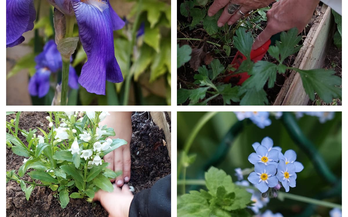 Illustration de l'événement : Le jardin se fait une beauté