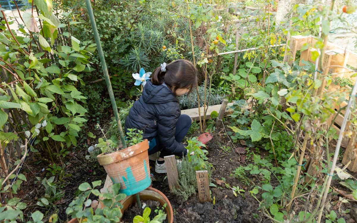 Illustration de l'événement : Participer au marathon de la plantation aux Jardins Mécaniques