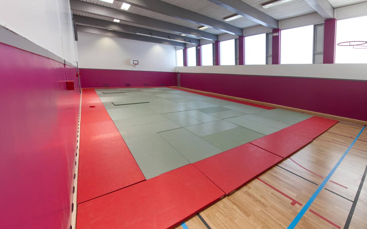 Illustration de l'événement : Paris sport familles : multisports au TEP Les Amandiers