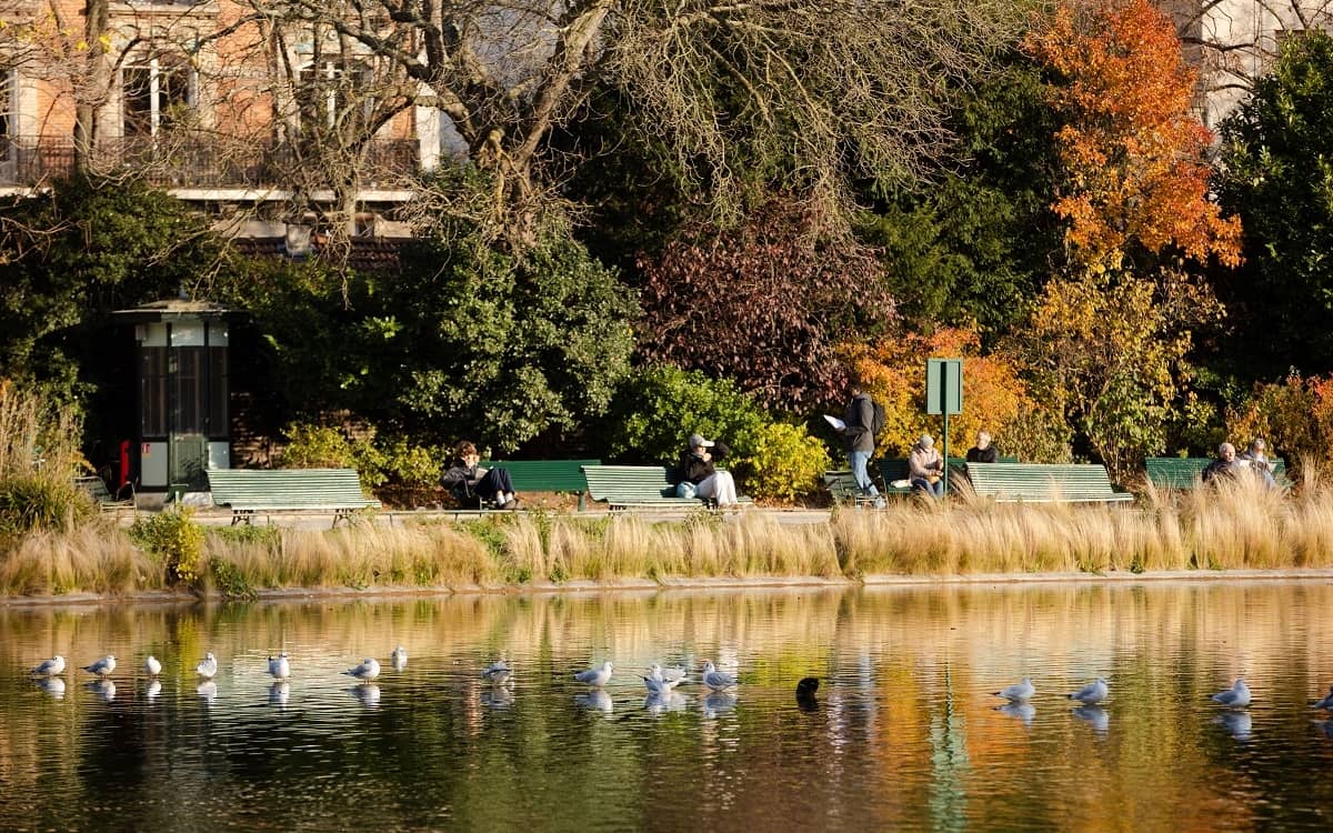 Illustration de l'événement : visite guidée du Parc Montsouris