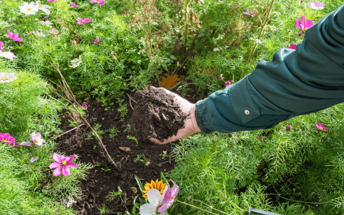 Illustration de l'événement : Les samedis du compostage à la maison du jardinage et du compostage
