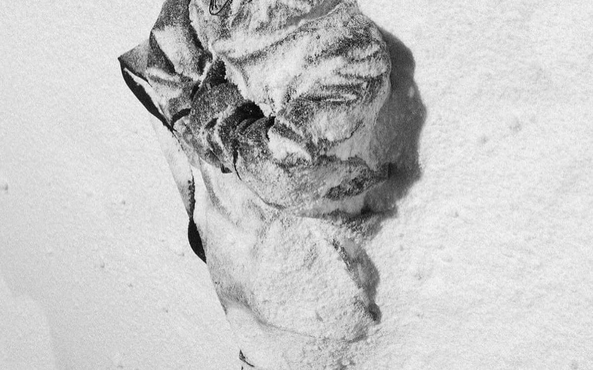Illustration de l'événement : ZOÉ LADOUCE / Llynegti : the frozen city