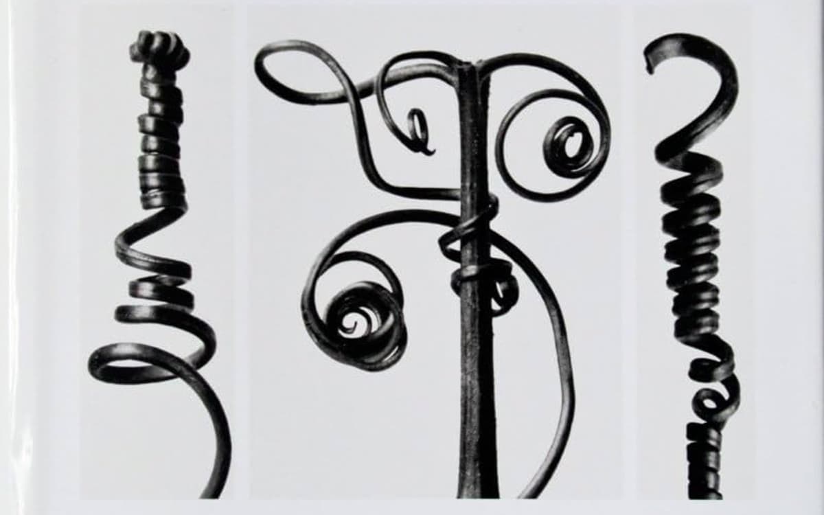 Illustration de l'événement : Le végétal et la Nouvelle Objectivité – Ernst Haeckel et Karl Blossfeldt
