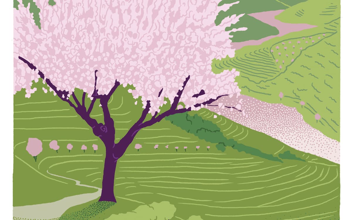Illustration de l'événement : Festival Un Temps pour Elles : JARDINS DU MONDE