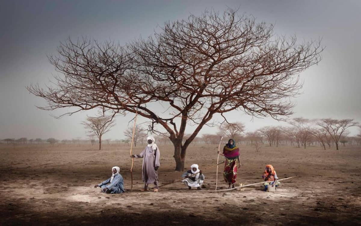 Illustration de l'événement : Une exposition de photographies pour mettre en lumière les arbres nourriciers du Sahel