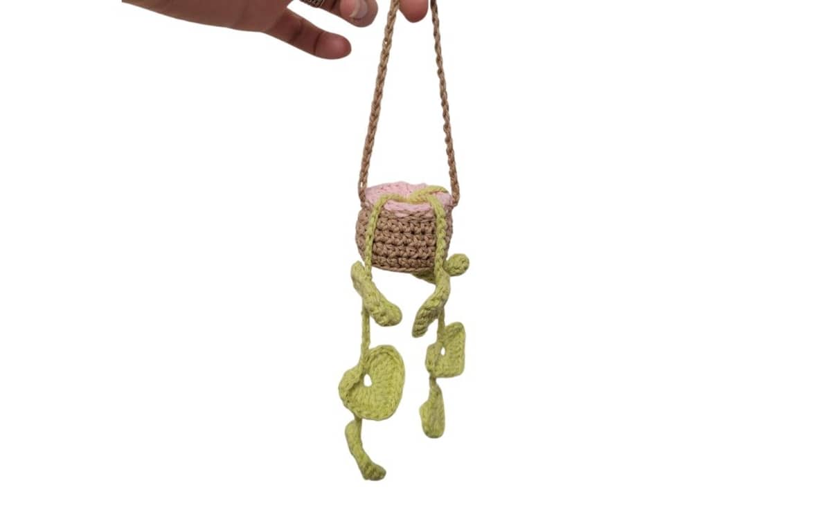 Illustration de l'événement : Ma plante en crochet !
