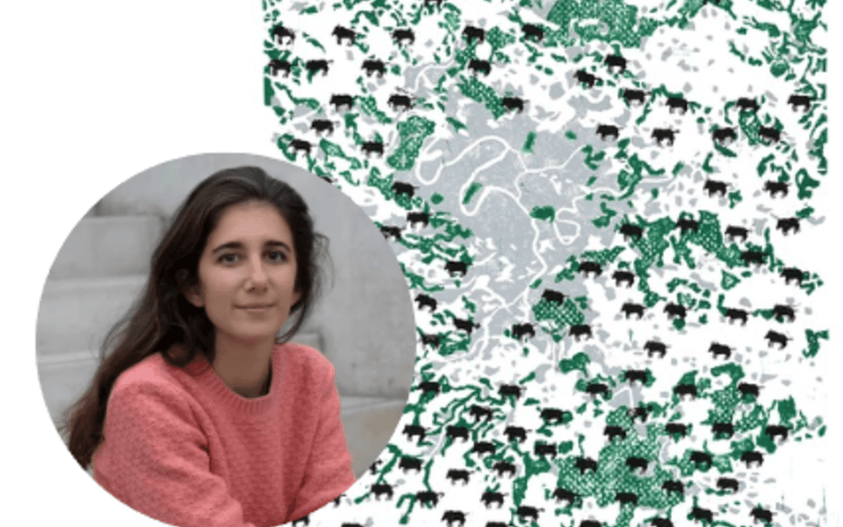 Illustration de l'événement : Faire la ville avec les vivants : rencontre conférence avec Léa Mosconi et les étudiants de l'ENSA Belleville