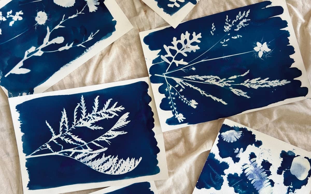 Illustration de l'événement : Réalisez votre cyanotype botanique !