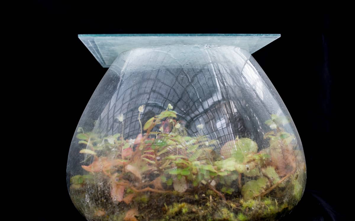 Illustration de l'événement : Réalisation avec des objets de récup’ d’un jardin miniature d’intérieur