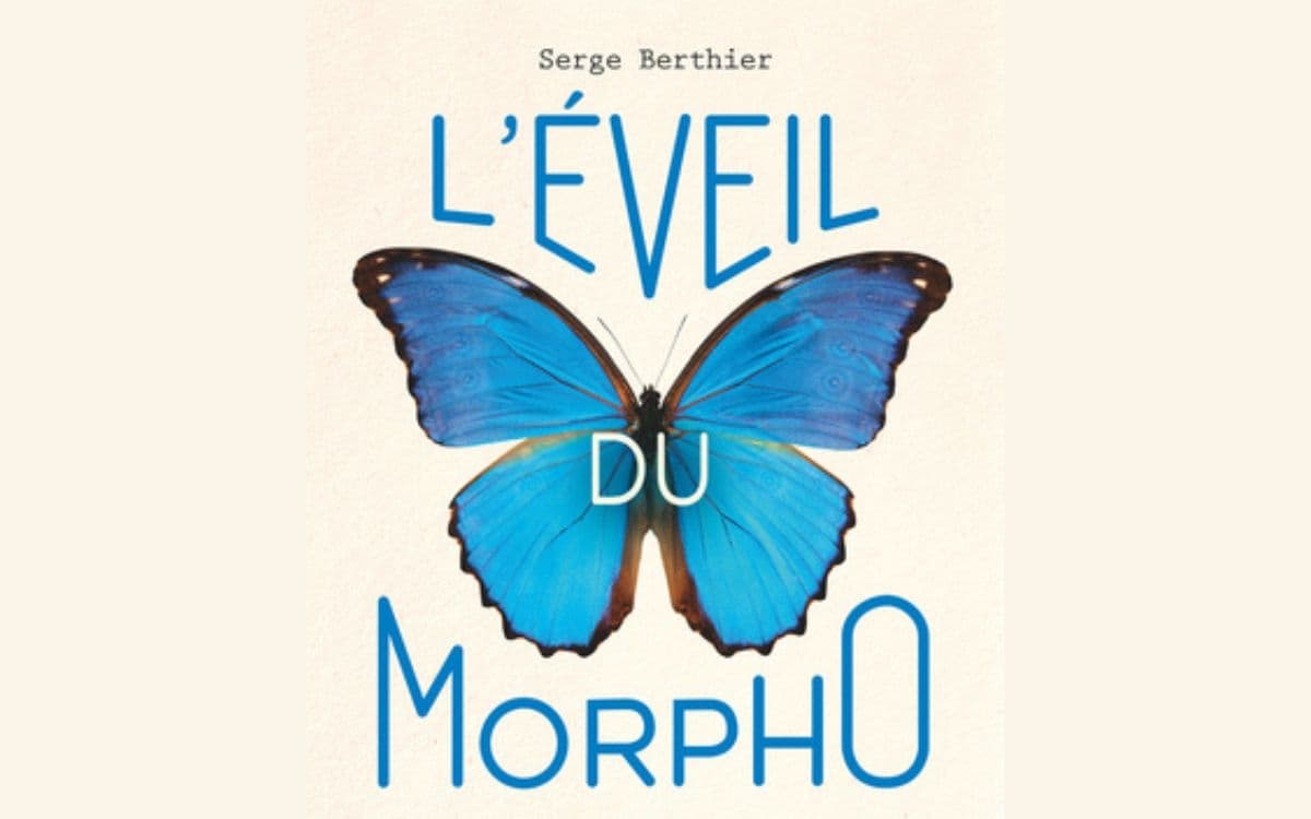 Illustration de l'événement : L'éveil du Morpho : bio-inspirez-vous !
