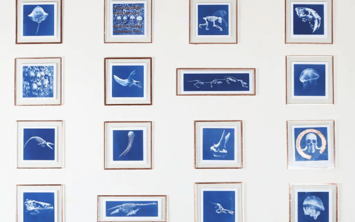 Illustration de l'événement : Exposition - Soraya Meunier